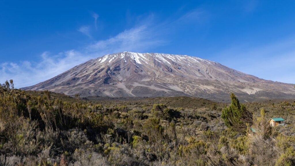 ElitePencil Travel and Tour Website (2)